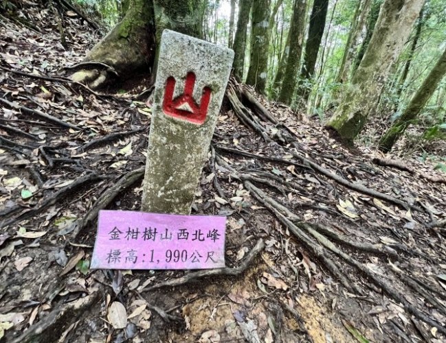 流籠頭嶺頭山金柑樹山忘憂森林路線 流籠頭嶺頭山金柑樹山忘憂森林路線