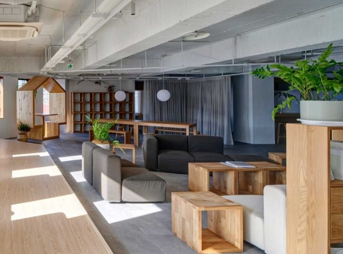 办公室植物推荐