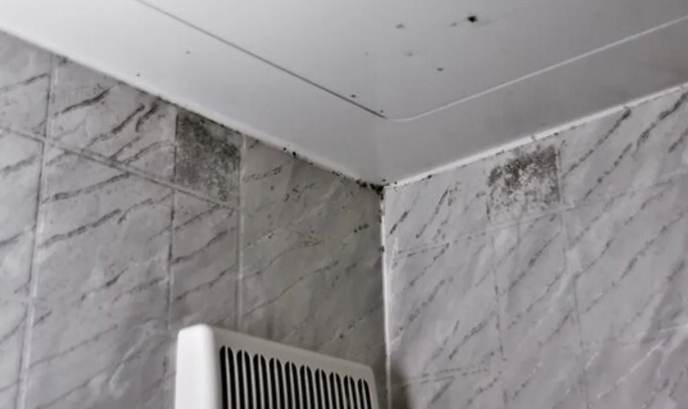 浴室防霉方法 浴室防霉方法