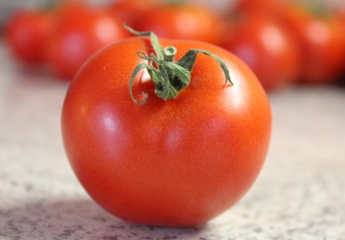 蕃茄長太高 蕃茄長太高