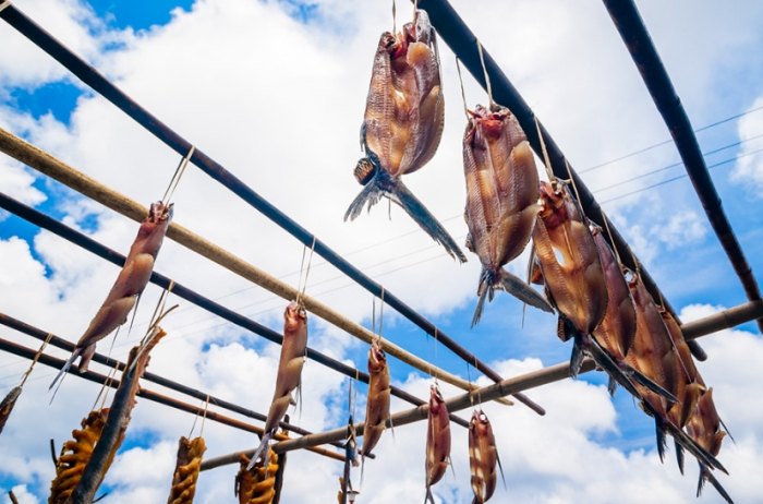 魚乾可以帶回台灣嗎 魚乾可以帶回台灣嗎