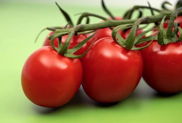 牛番茄基因改造