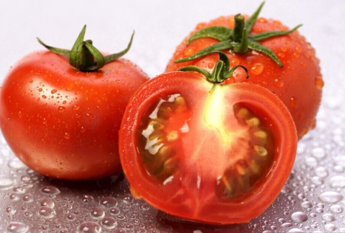 温度对西红柿生长的影响