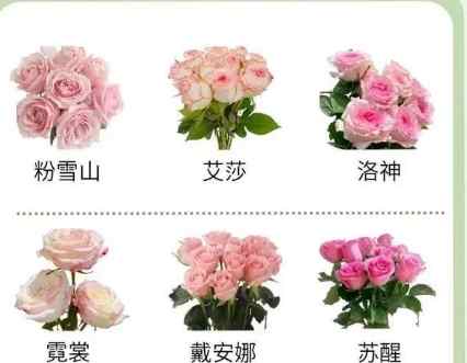 象徵女兒的花卉 象徵女兒的花卉