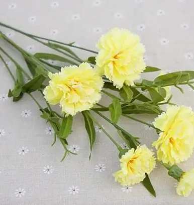 桔梗花種植 桔梗花種植