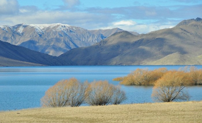 紐西蘭換匯技巧 紐西蘭換匯技巧