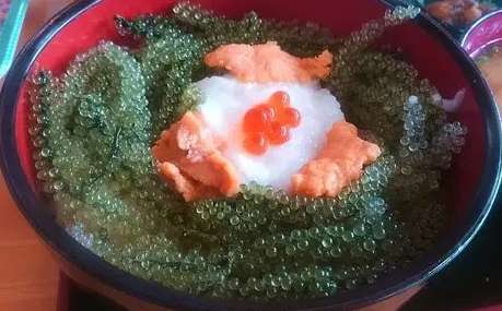 海葡萄 可以 帶回 台灣 嗎 海葡萄 可以 帶回 台灣 嗎