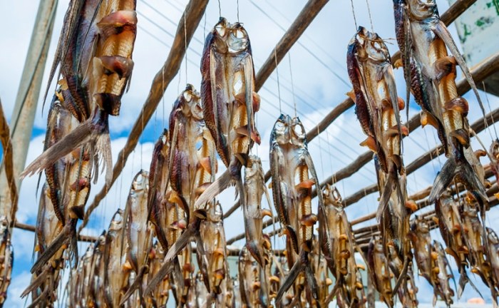 魚乾入境規定 魚乾入境規定