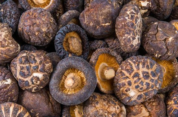 台灣海關檢疫香菇 台灣海關檢疫香菇