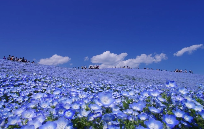 北投中心新村美食全攻略：隱藏版小吃與必訪餐廳深度探索