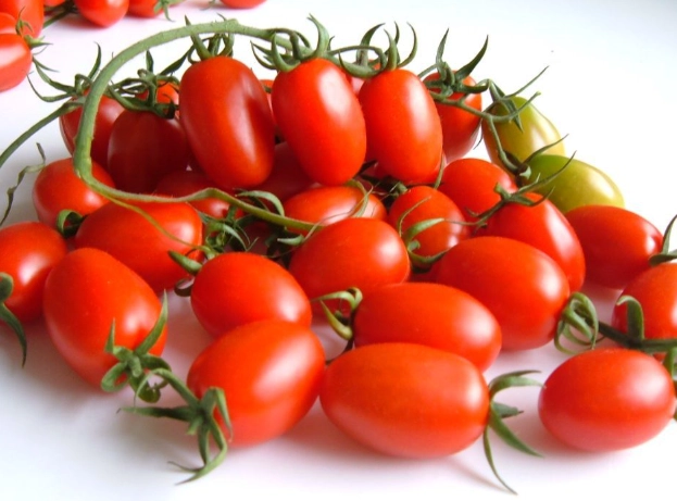 台灣蕃茄產地全攻略：從種植到挑選的實用指南