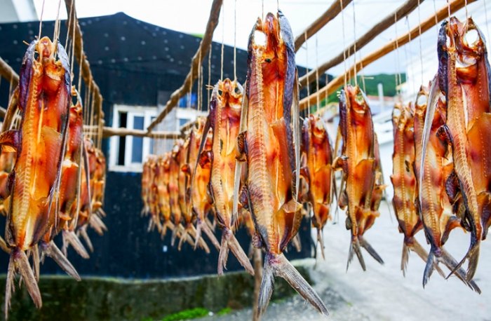 魚乾攜帶回台灣 魚乾攜帶回台灣