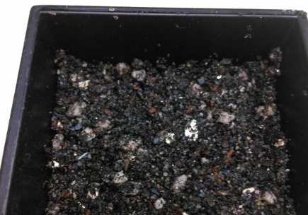 盆栽底部石頭 盆栽底部石頭