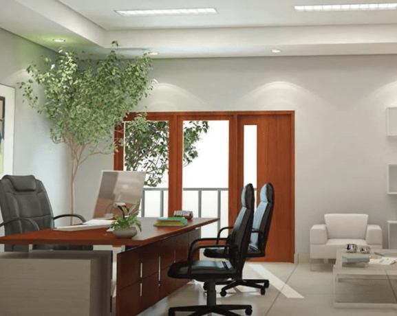 桌面植物养护 桌面植物养护