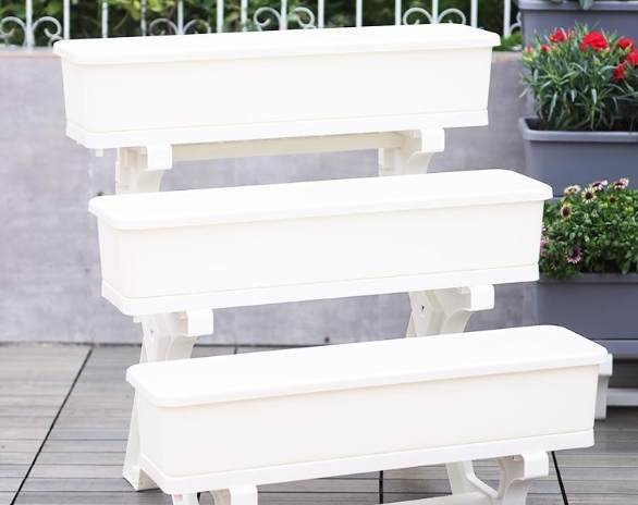 陽台種菜 陽台種菜