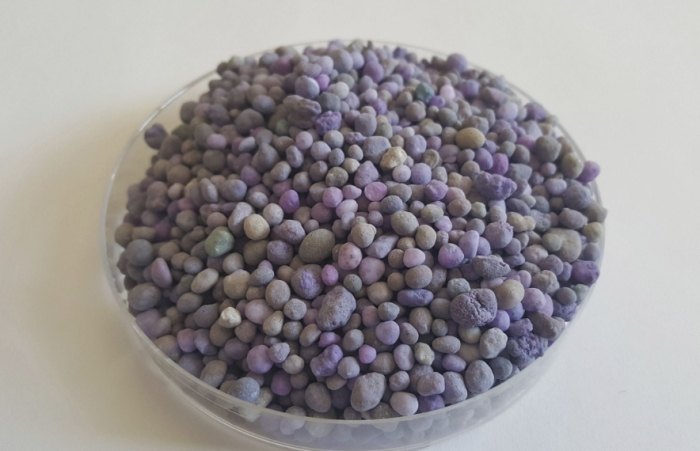 番茄增甜方法 番茄增甜方法