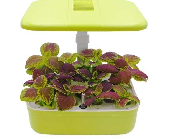 水耕系統 水耕系統