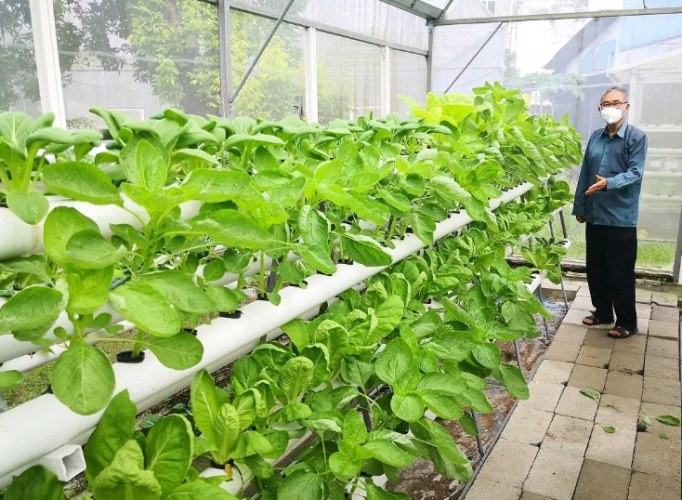 室內種植 室內種植