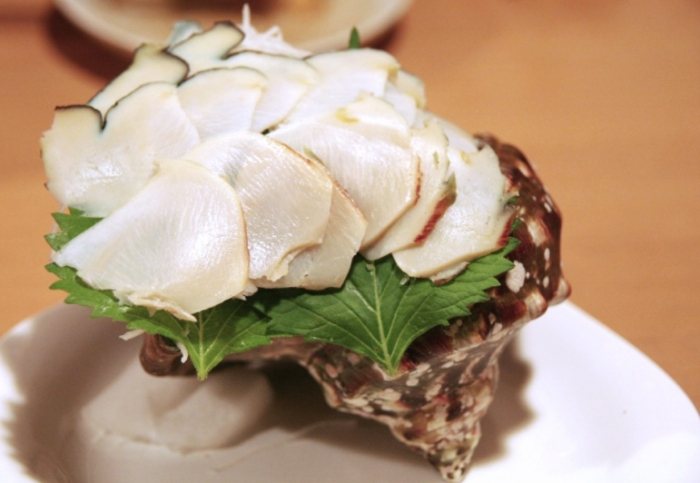 夜光貝可以帶回台灣嗎