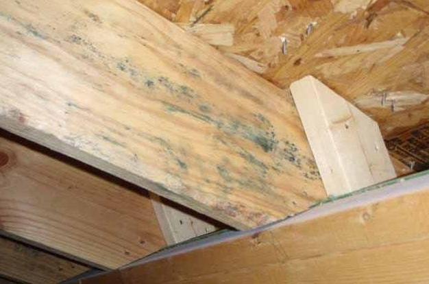 木製品發霉處理 木製品發霉處理