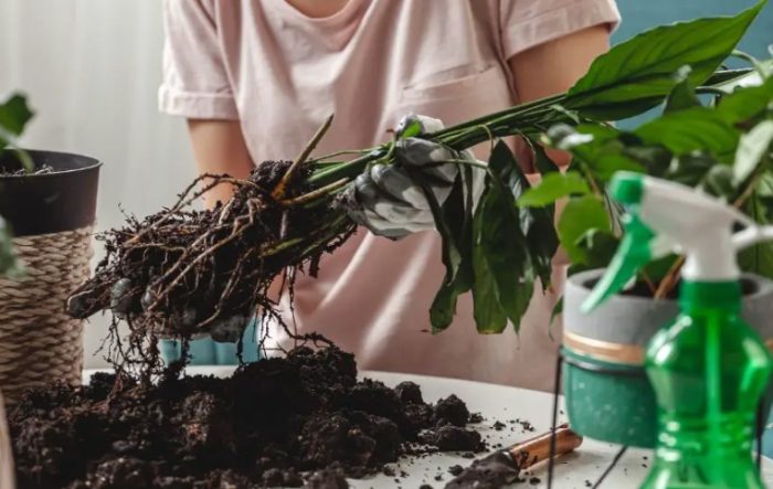 花盆底網 花盆底網