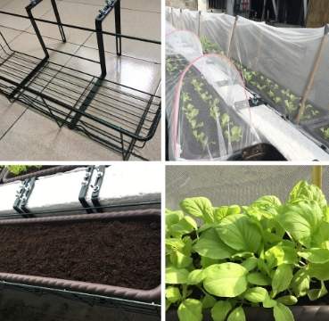 陽台種植技巧 陽台種植技巧