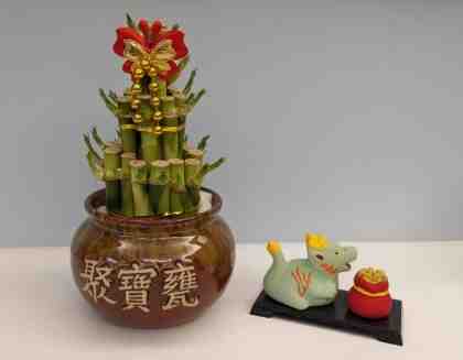 開運竹修剪方法 開運竹修剪方法