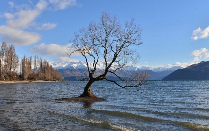 紐西蘭旅行費用 紐西蘭旅行費用