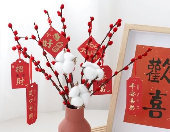 銀柳護理 銀柳護理