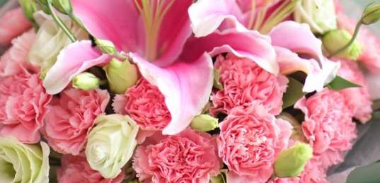 花语象征家人 花语象征家人