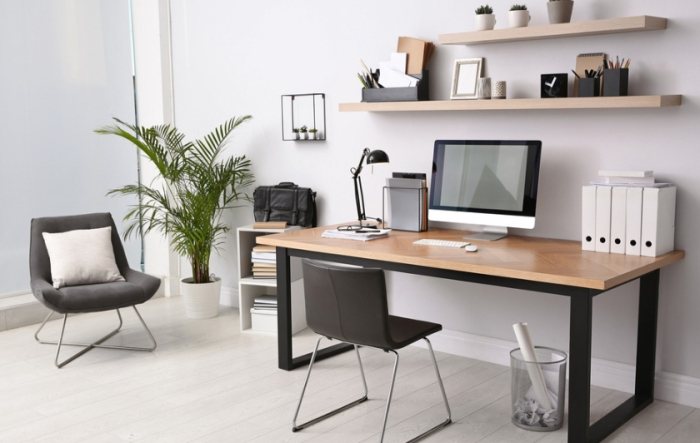 辦公桌植物推薦