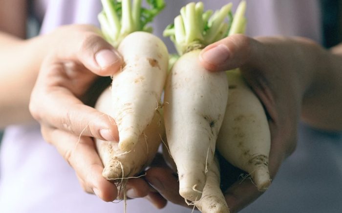 洋蔥湯健康益處 洋蔥湯健康益處