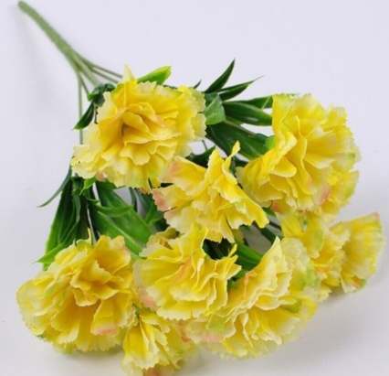 桔梗花花語 桔梗花花語