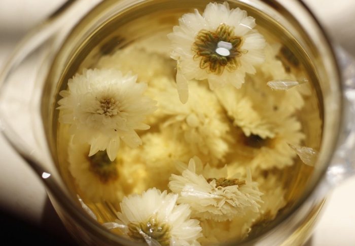 菊花茶過量 菊花茶過量