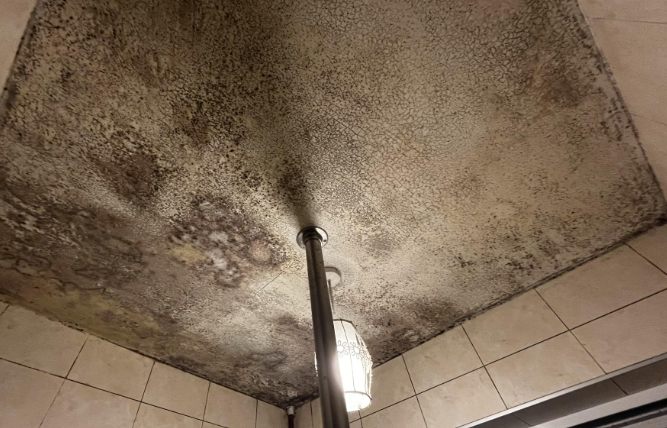 浴室天花板發霉清除 浴室天花板發霉清除