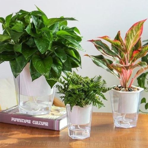 自动浇水花盆问题 自动浇水花盆问题