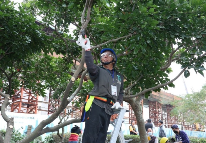 樹木修剪技巧 樹木修剪技巧