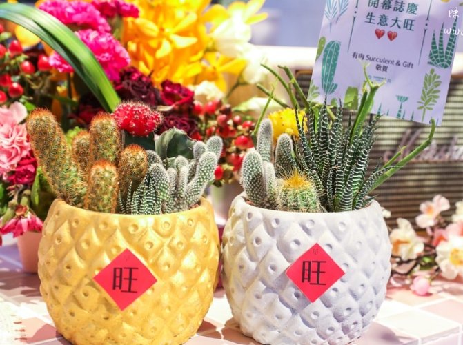 開店祝賀送什麼