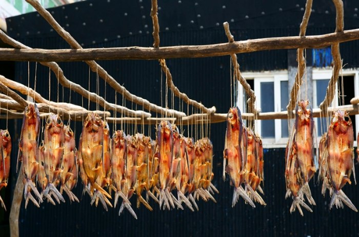 台灣海關魚乾 台灣海關魚乾