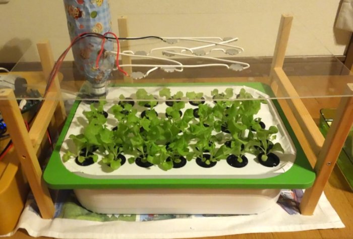 家用水耕 家用水耕