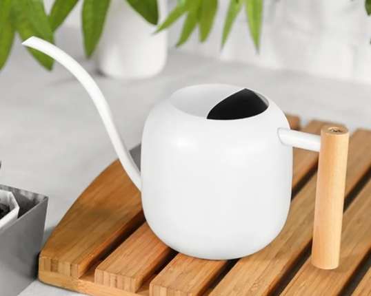 過度澆水處理 過度澆水處理