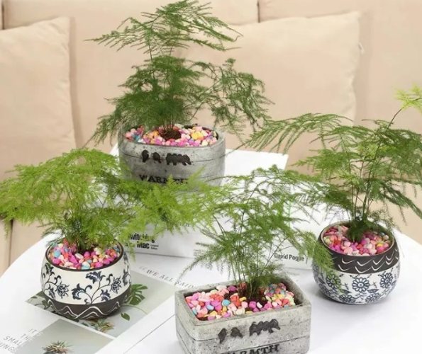 花盆底網材質 花盆底網材質