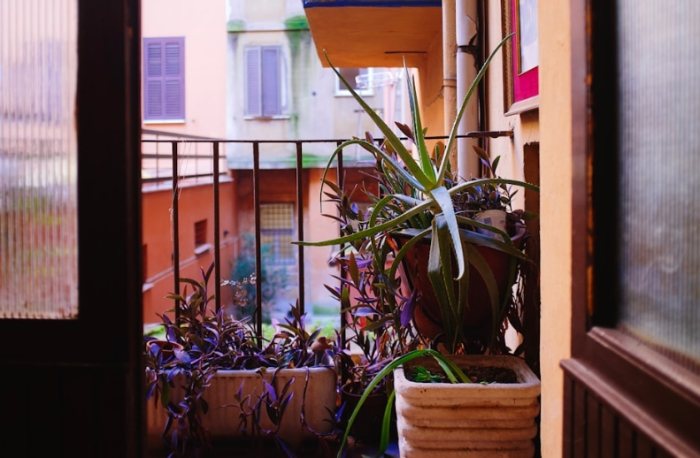 種菜用土選擇 種菜用土選擇