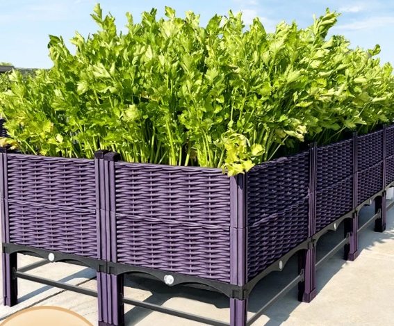 阳台蔬菜种植容器 阳台蔬菜种植容器