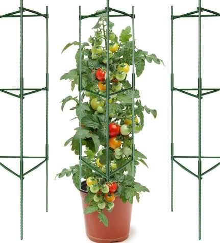 番茄支架 番茄支架