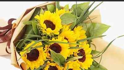 代表父親的花 代表父親的花