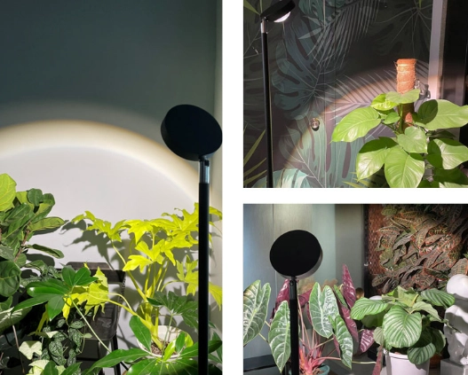 全光譜植物燈