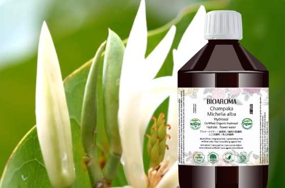 白玉蘭純露 白玉蘭純露