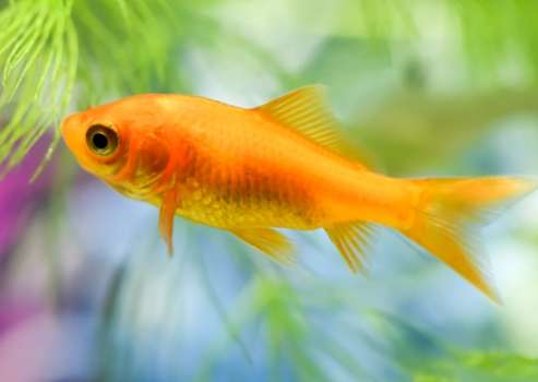 水族箱設置 水族箱設置