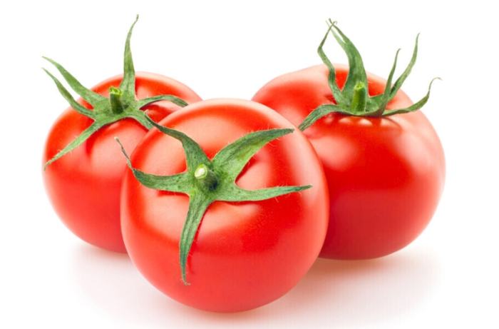 西红柿最适温度